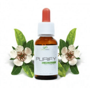 Qi Oil MHz+ Purify – Huile essentielle purifiante aux bio-fréquences