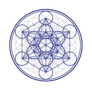 DecalcEco : Adoucisseur écologique 19 800 Gauss – Image 5