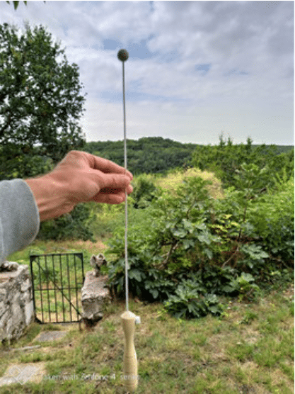 Main tenant une baguette universelle dans un environnement naturel avec des arbres en arrière-plan